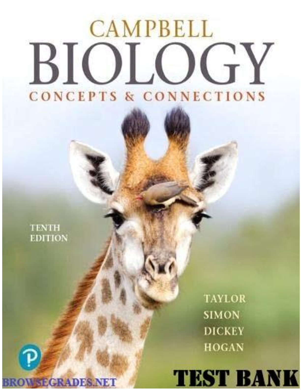 Preview image for TEST BANK for Campbell Biology Concepts & Connections, 10th Edition By Martha Taylor, Eric Simon, Jean Dickey, Kelly Hogan.